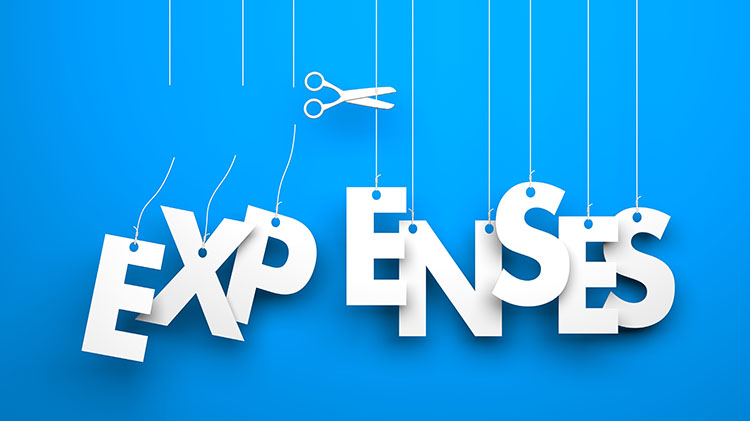 auditing expenses